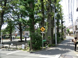 周辺環境:弁天児童遊園 ハウス世田谷松原