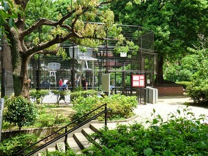 周辺環境:美竹公園 神宮前シティハウス