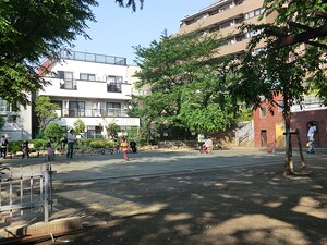 周辺環境:本町公園 マンション(一棟) 新宿区西新宿４丁目 121770万円 西新宿五丁目駅｜住建ハウジング