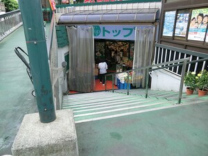 周辺環境:トップ奥沢店 マートルコート奥沢