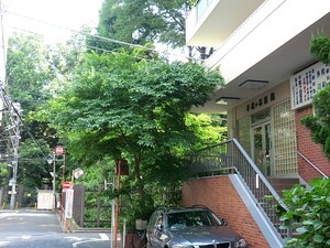 周辺環境:千駄ケ谷医院 マンション(区分) 渋谷区千駄ヶ谷５丁目 代々木シティーホームズ 5180万円 代々木駅｜住建ハウジング