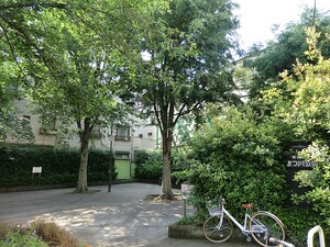 周辺環境:まつ川公園 ストーク高田馬場弐番館