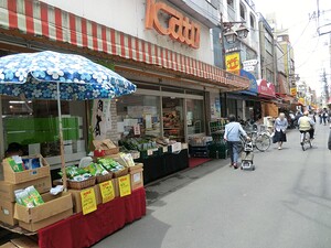 周辺環境:カトウ田端店 六義園第六コーポ