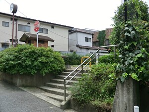 周辺環境:氷川つるかめ公園 ドレッセ代官山