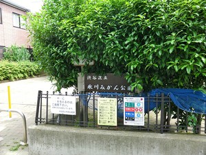 氷川みかん公園 サンヴューハイツ渋谷