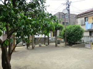 周辺環境:氷川みかん公園 パークハウス恵比寿イーストヒル