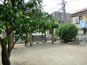 周辺環境:氷川みかん公園 渋谷区猿楽町(30000万円)｜土地・売地｜住建ハウジング