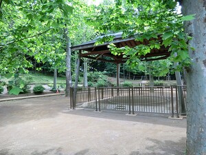 周辺環境:氷川の杜公園 シティコート広尾