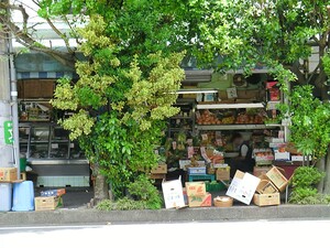 周辺環境:若羽食品 渋谷区広尾２丁目(6900万円)｜中古一戸建て｜住建ハウジング