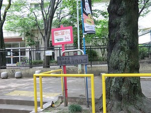 周辺環境:若羽児童遊園地 南青山高樹町ハイツ