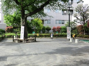 周辺環境:月光町児童遊園 土地・売地 目黒区目黒本町１丁目 11500万円 学芸大学駅｜住建ハウジング