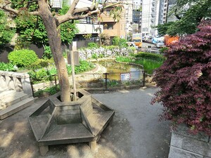 周辺環境:二軒家公園 新宿区西新宿５丁目(49000万円)のホテル｜住建ハウジング