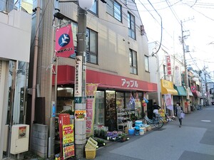 周辺環境:アップル その他(一棟) 練馬区貫井２丁目 6480万円 中村橋駅｜住建ハウジング