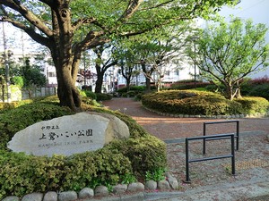 周辺環境:上鷺いこい公園 新築一戸建て 練馬区富士見台１丁目 6699万円 練馬高野台駅｜住建ハウジング