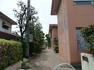 周辺環境:かみさぎ児童遊園 新築一戸建て 練馬区中村２丁目 6998万円 中村橋駅｜住建ハウジング