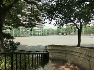 周辺環境:西大井広場公園 コア・スターレ西大井