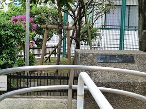 周辺環境:本村公園 ノア南麻布