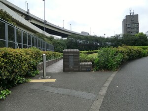 周辺環境:新浜公園 マンション(区分) 港区海岸２丁目 ローレルタワールネ浜松町 11000万円 浜松町駅｜住建ハウジング