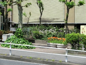 周辺環境:末広橋児童遊園 ＧＬＯＢＡＬ　ＦＲＯＮＴ　ＴＯＷＥＲ