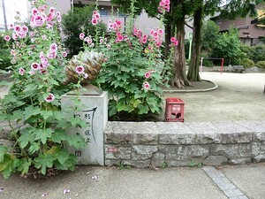 周辺環境:松ノ木公園 土地・売地 杉並区成田東２丁目 21160万円 南阿佐ケ谷駅｜住建ハウジング