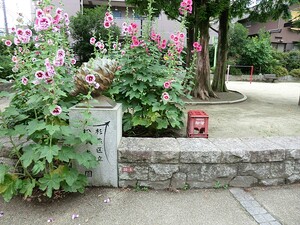 周辺環境:松ノ木公園 土地・売地 杉並区成田西１丁目 6980万円 浜田山駅｜住建ハウジング