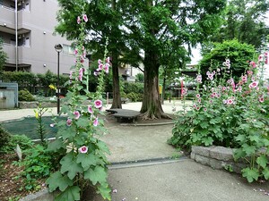 周辺環境:松ノ木公園 ライオンズガーデン浜田山