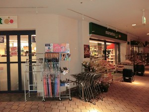 周辺環境:マルエツ晴海店 ＨＡＲＵＭＩ　ＦＬＡＧ　ＳＵＮ　ＶＩＬＬＡＧＥ　Ａ棟