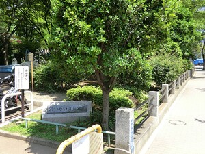 周辺環境:黎明橋公園 パークタワー勝どきサウス