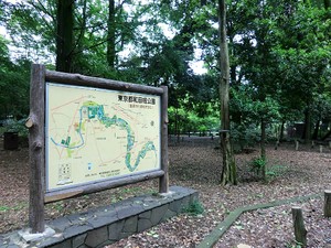 周辺環境:都立和田堀公園 土地・売地 杉並区成田東２丁目 21160万円 南阿佐ケ谷駅｜住建ハウジング
