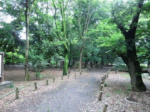 周辺環境:都立和田堀公園 杉並区大宮１丁目(7980万円)｜中古一戸建て｜住建ハウジング