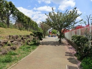 周辺環境:本多山公園 中野区江原町２丁目(11900万円)｜中古一戸建て｜住建ハウジング