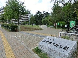 周辺環境:江古田の森公園 マンション(一棟) 練馬区豊玉北２丁目 41500万円 新江古田駅｜住建ハウジング