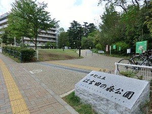 周辺環境:江古田の森公園 マンション(一棟) 練馬区豊玉北１丁目 グリーンハイツ 12000万円 新江古田駅｜住建ハウジング