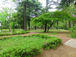 周辺環境:江古田の森公園 中野区江原町２丁目(11900万円)｜中古一戸建て｜住建ハウジング