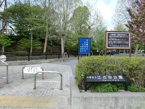 周辺環境:江古田公園 中野区沼袋２丁目(4590万円)｜新築一戸建て｜住建ハウジング