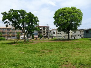 周辺環境:吉祥寺西公園 土地・売地 武蔵野市御殿山２丁目 17800万円 三鷹駅｜住建ハウジング