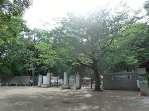 周辺環境:井の頭恩賜公園 土地・売地 三鷹市井の頭４丁目 9080万円 吉祥寺駅｜住建ハウジング