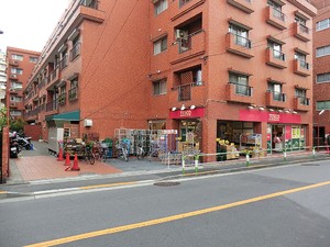 周辺環境:テスコ小石川店 パレステージ文京江戸川橋(7590万円)｜中古マンション（新築･中古）｜住建ハウジング