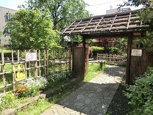周辺環境:藤兵衛公園 マンションヴィップ北新宿