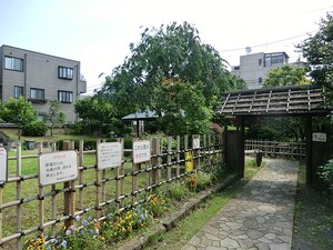 周辺環境:藤兵衛公園 マンションヴィップ北新宿
