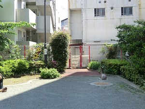 周辺環境:大原わくわく公園 東松原ハイム(8590万円)｜中古マンション（新築･中古）｜住建ハウジング