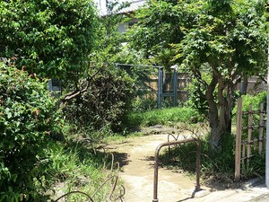 周辺環境:羽根木一丁目公園 ＬＥＲＥＶＥ羽根木