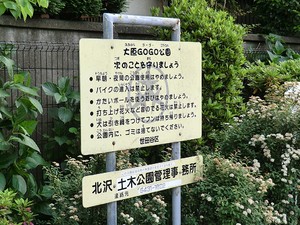 周辺環境:大原ＧＯＧＯ公園 マンション(一棟) 世田谷区大原１丁目 21060万円 笹塚駅｜住建ハウジング