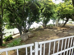 周辺環境:中の島公園 センチュリーパークタワー