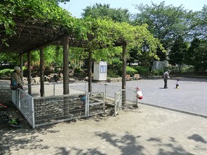 周辺環境:千早公園 千川サニーコート