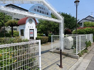 周辺環境:千早緑地公園 豊島区千早４丁目(7980万円)｜土地・売地｜住建ハウジング