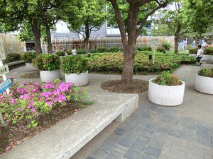 周辺環境:用賀くすのき公園 中古一戸建て 世田谷区用賀４丁目 24000万円 用賀駅｜住建ハウジング