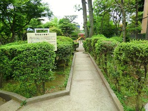 周辺環境:用賀二丁目公園 世田谷区用賀２丁目(29000万円)｜土地・売地｜住建ハウジング