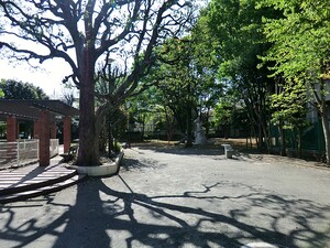 周辺環境:丸山公園 アパート(一棟) 中野区鷺宮１丁目 15000万円 都立家政駅｜住建ハウジング