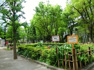周辺環境:恵比寿公園 ダイアパレス代官山